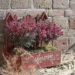 《零 ～月蚀的假面～》Steam页面上线 2023年初发售