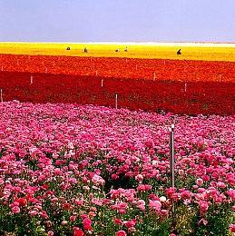 《战地2042》四个专家角色展示视频 中文字幕